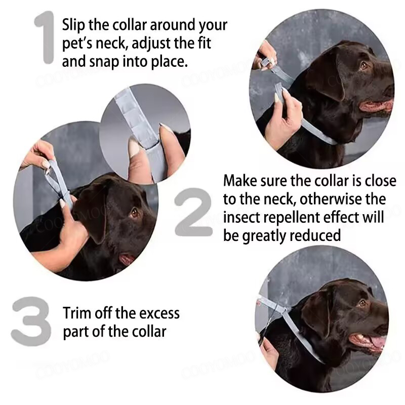 Dog Anti Flea And Tick Collars - Pet Immune Pir Sensor 评论和价格