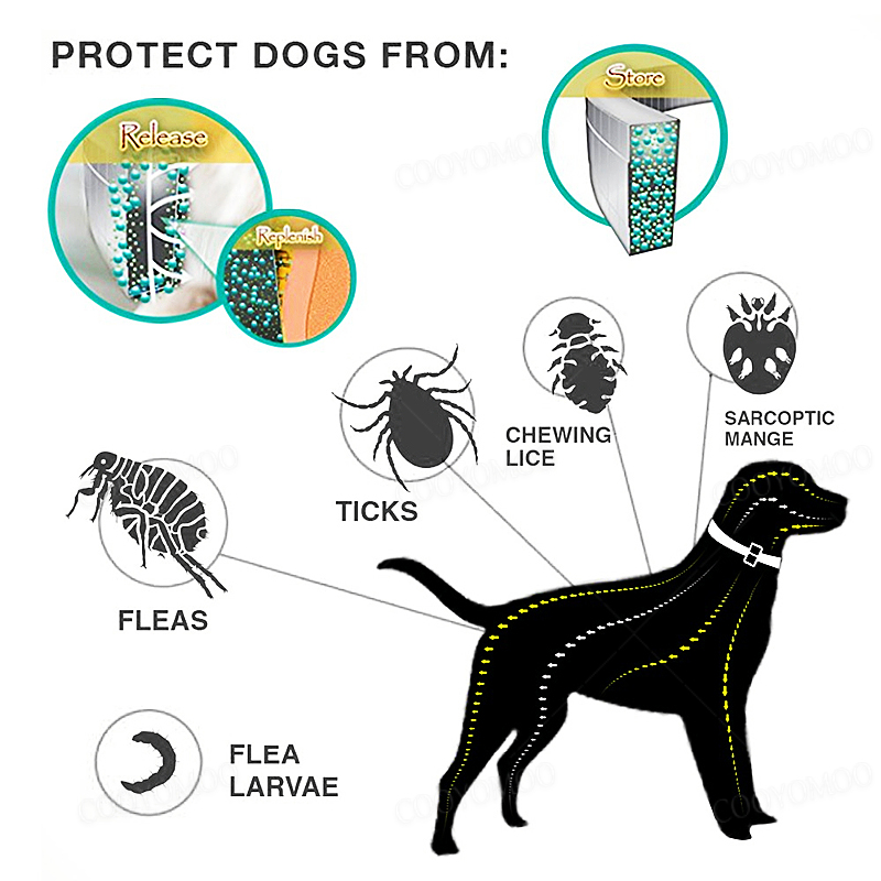 Dog Anti Flea And Tick Collars - Pet Immune Pir Sensor 评论和价格