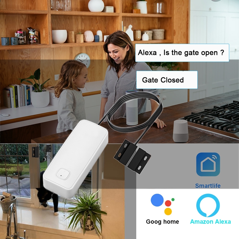 Smart Door Window Magnetic Det - Home Security With Ai 评论和价格