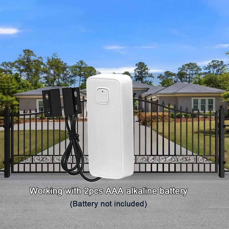 Smart Door Window Magnetic Det - Home Security With Ai 评论和价格