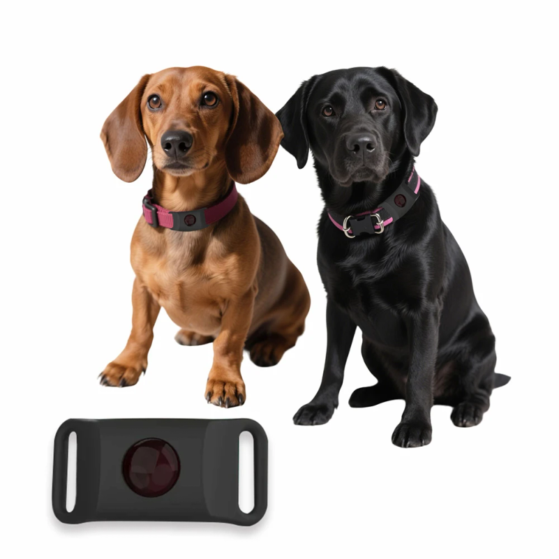 Natural Anti-Flea & Tick Penda - Pet Immune Pir Sensor 评论和价格