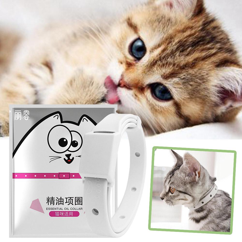 Retractable Pet Products Flea  - Pet Immune Pir Sensor 评论和价格