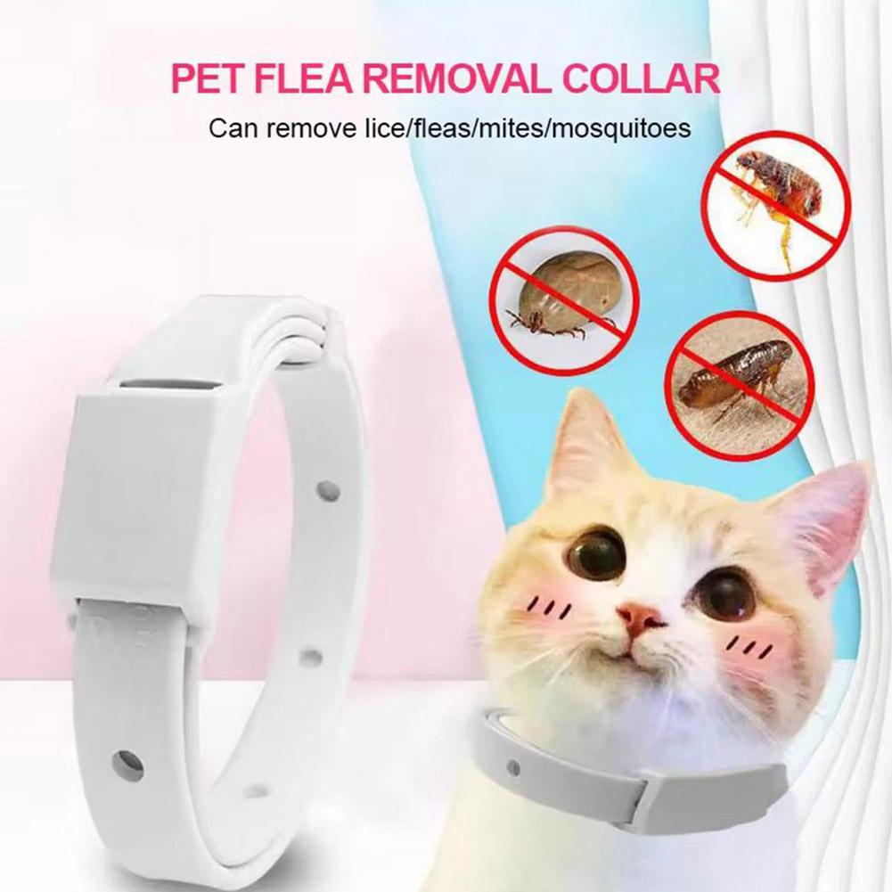 Retractable Pet Products Flea  - Pet Immune Pir Sensor 评论和价格