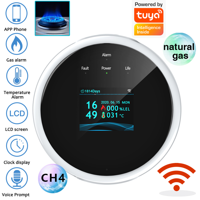 2.4G WiFi Gas Alarm Sensor Com - Home Security With Ai 评论和价格