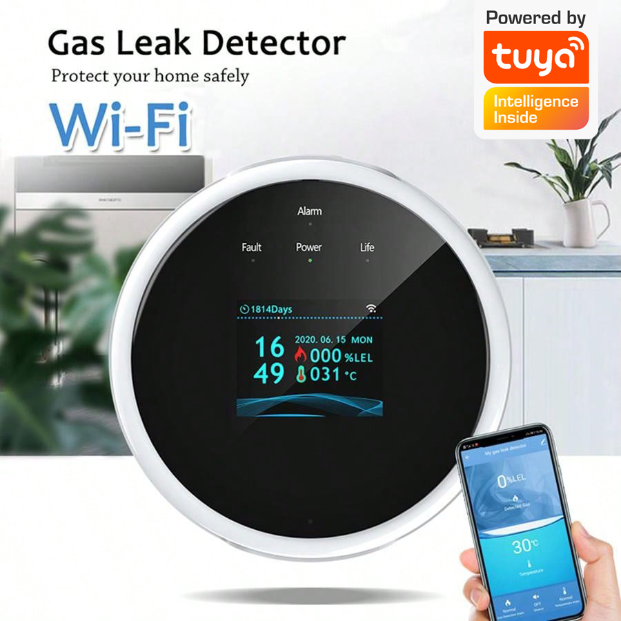 2.4G WiFi Gas Alarm Sensor Com - Home Security With Ai 评论和价格