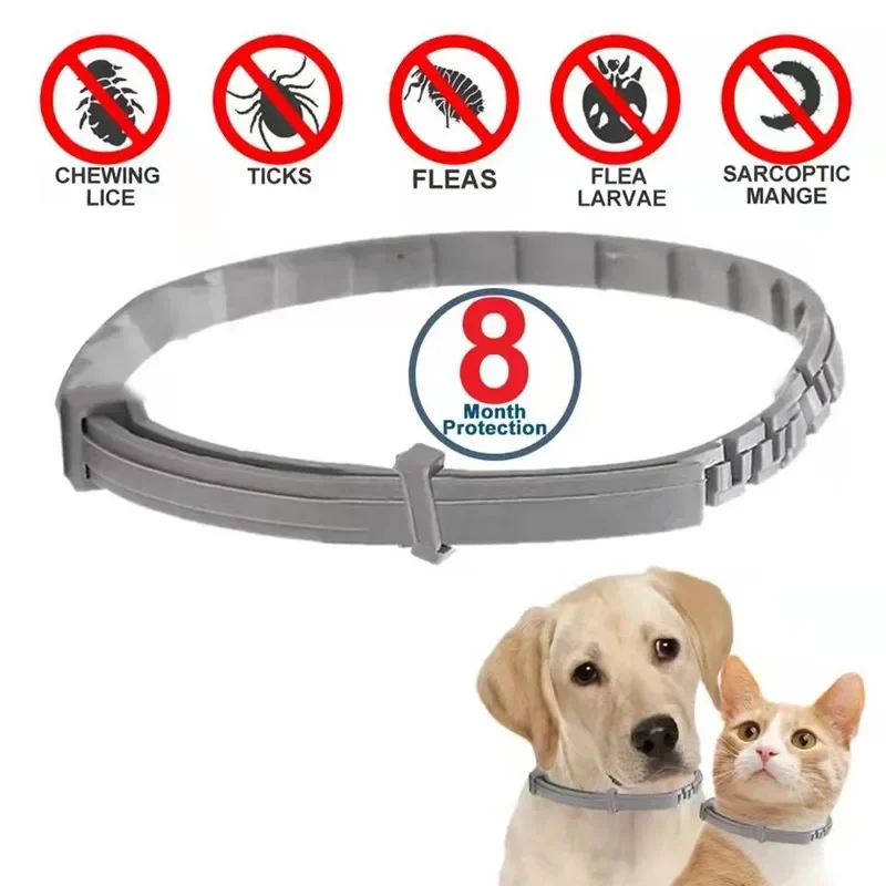 Dog Anti Flea And Tick Cat Col - Pet Immune Pir Sensor 评论和价格