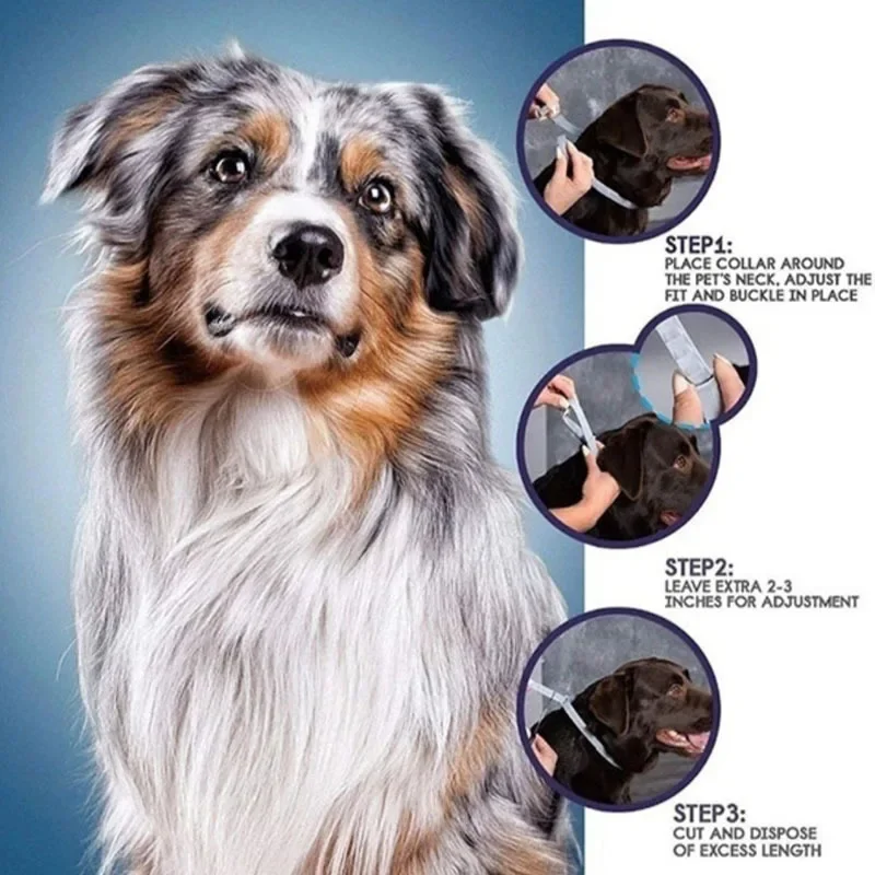 Dog Anti Flea And Tick Cat Col - Pet Immune Pir Sensor 评论和价格