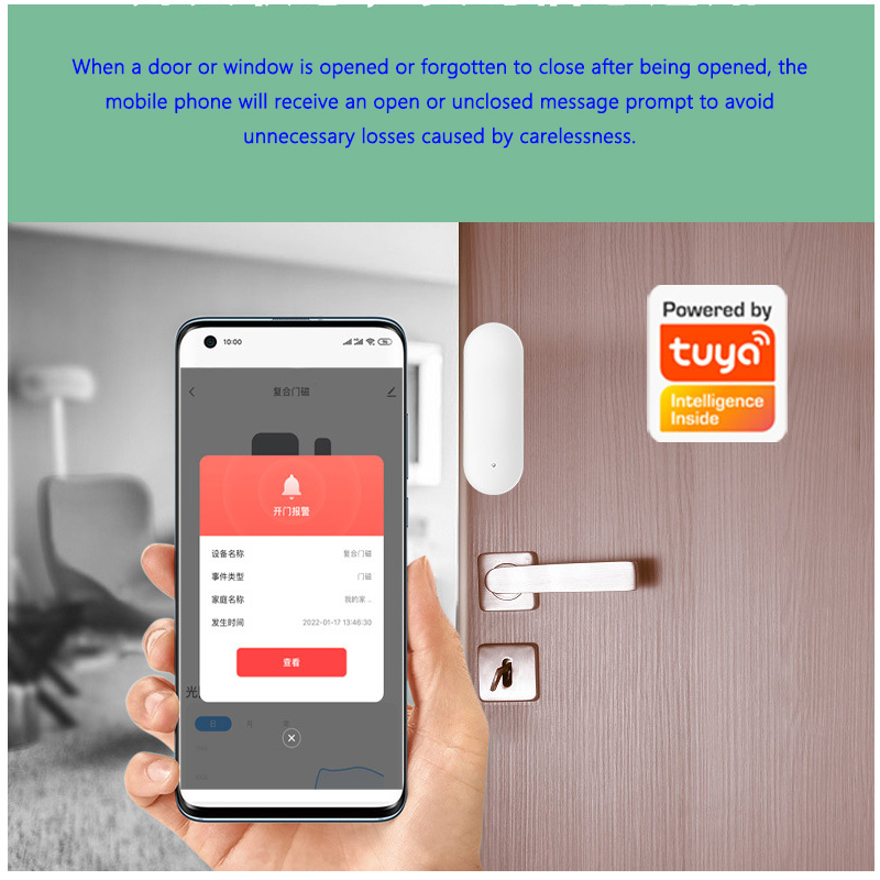 Low Power Reminder APP Control - Window Alarm Sensor 评论和价格