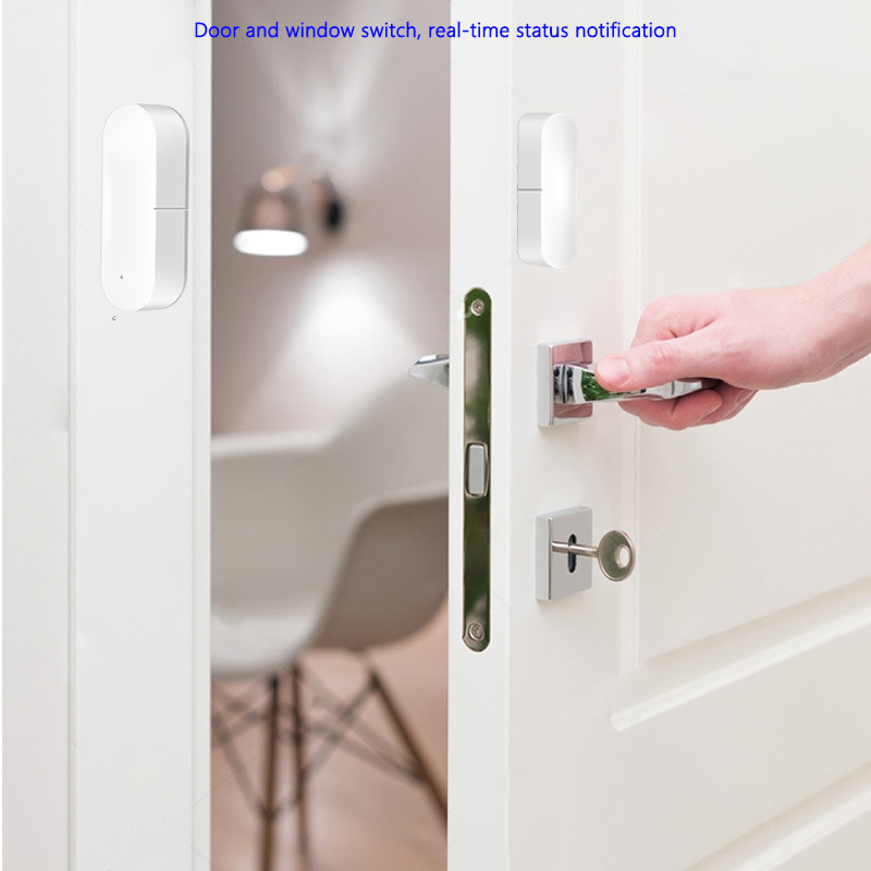 Low Power Reminder APP Control - Window Alarm Sensor 评论和价格