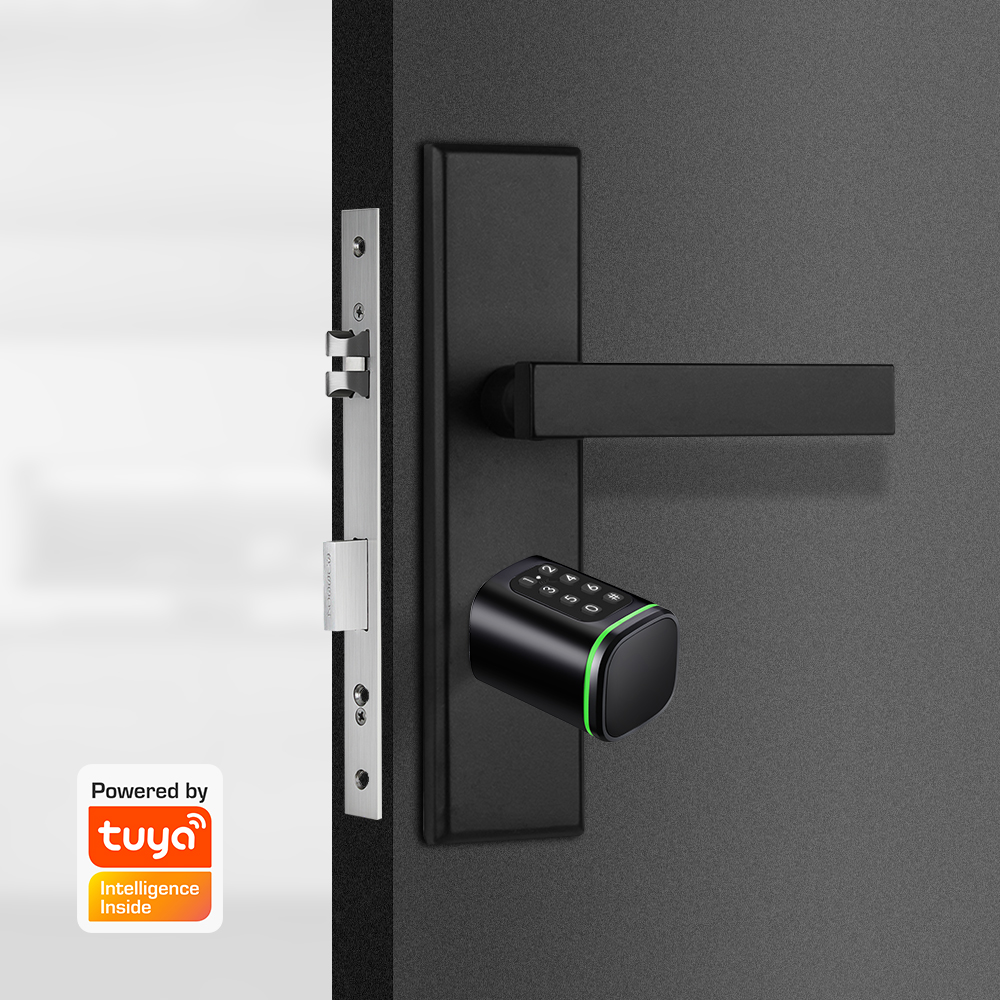 Smart Cylinder Lock Tuya 60-90 - Home Security Brand 评论和价格