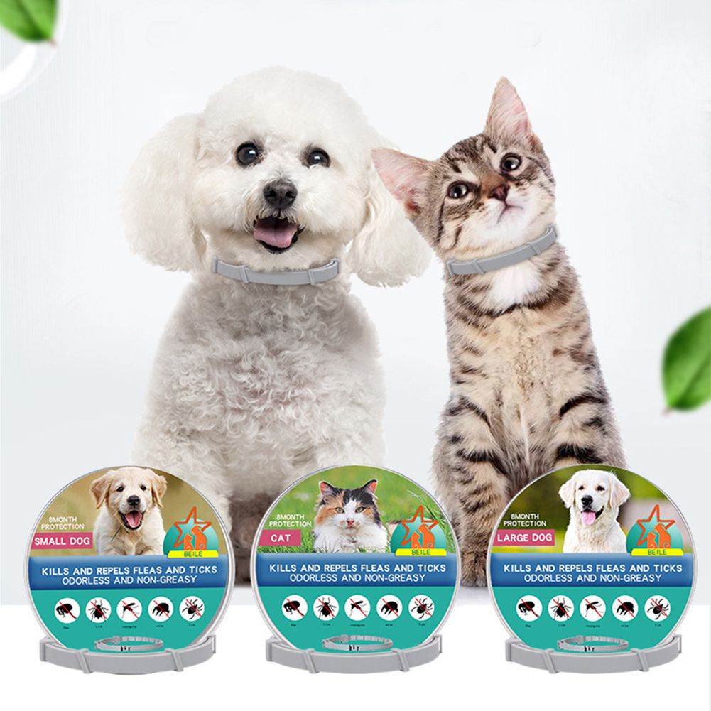Flea Collar 8 Months Protectio - Pet Immune Pir Sensor 评论和价格