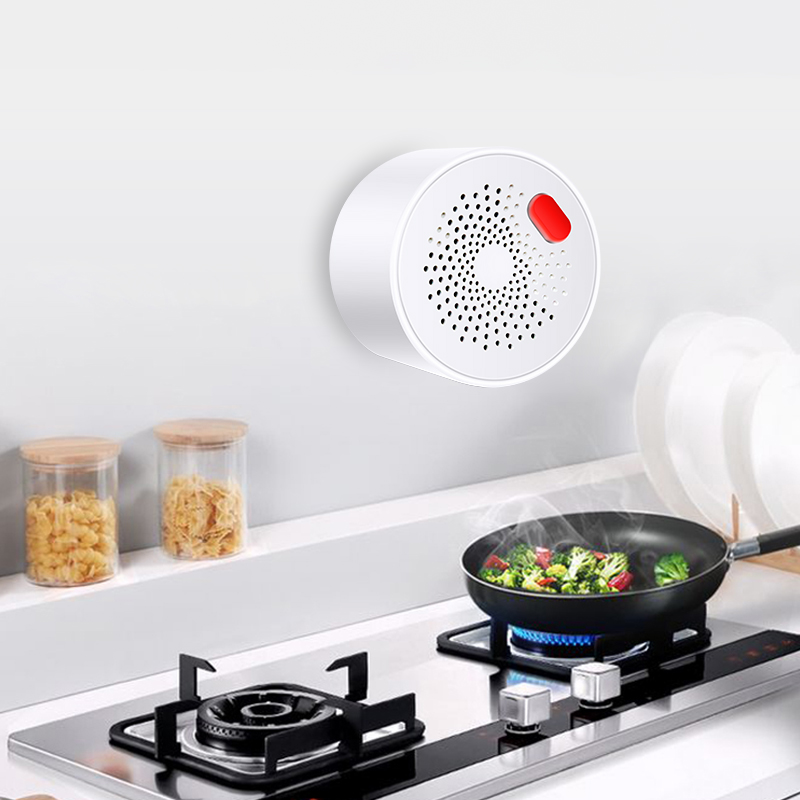 Tuya Smart Home Wifi Natural G - Home Security With Ai 评论和价格
