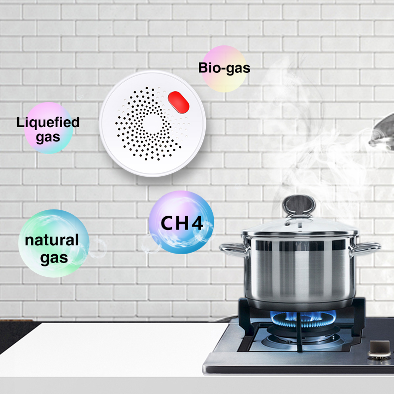 Tuya Smart Home Wifi Natural G - Home Security With Ai 评论和价格