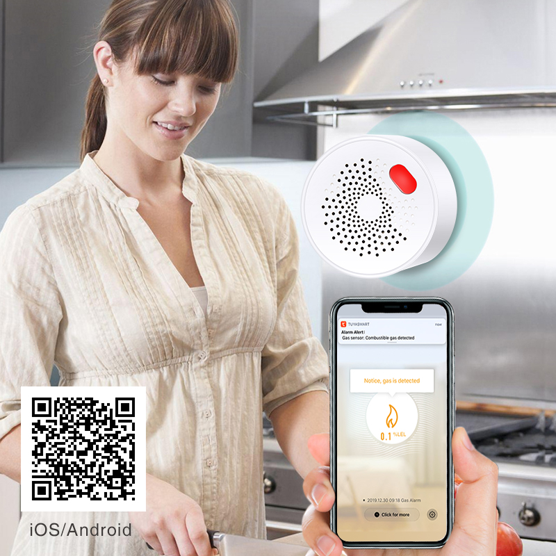 Tuya Smart Home Wifi Natural G - Home Security With Ai 评论和价格